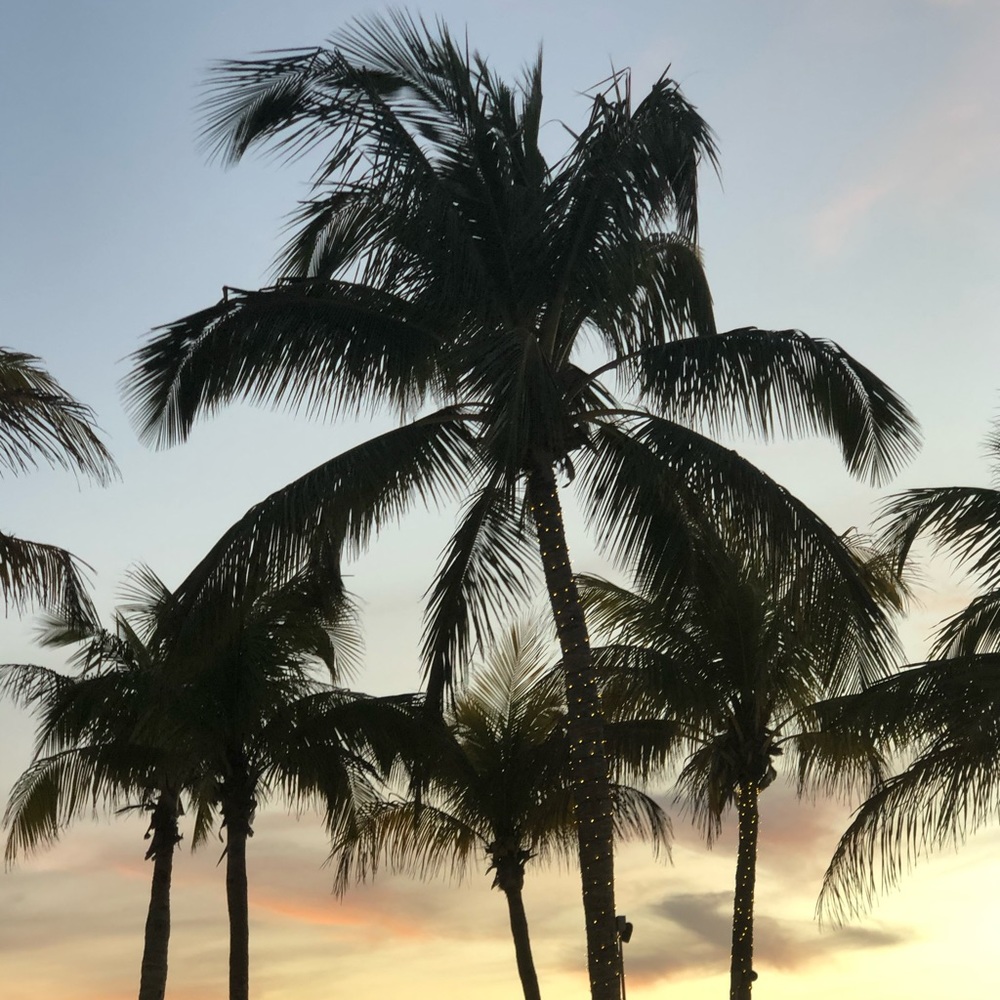 Meet your Posher, Dawn